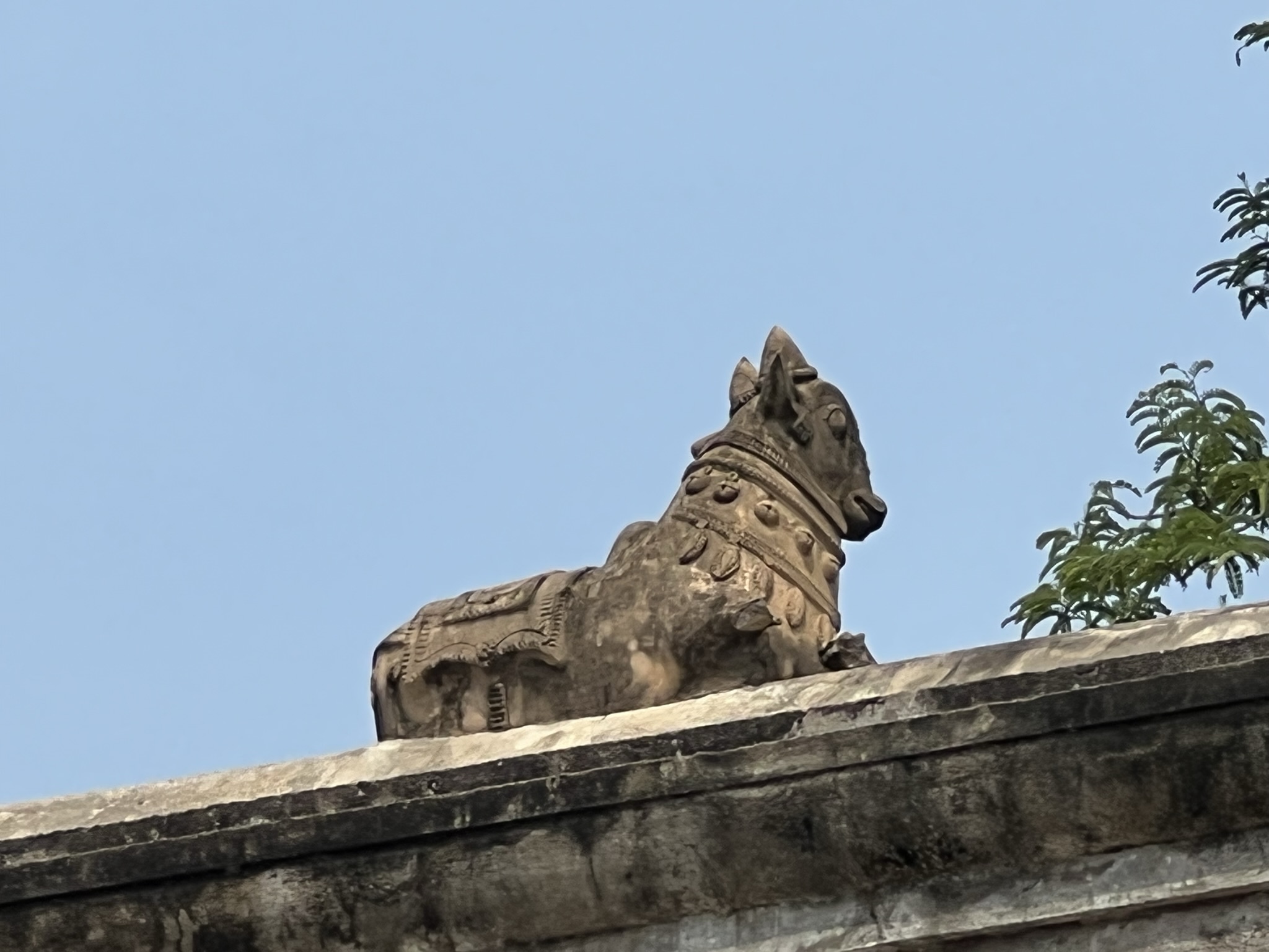 Shiva's mount, a bull named Nandi atop the walls of the temple